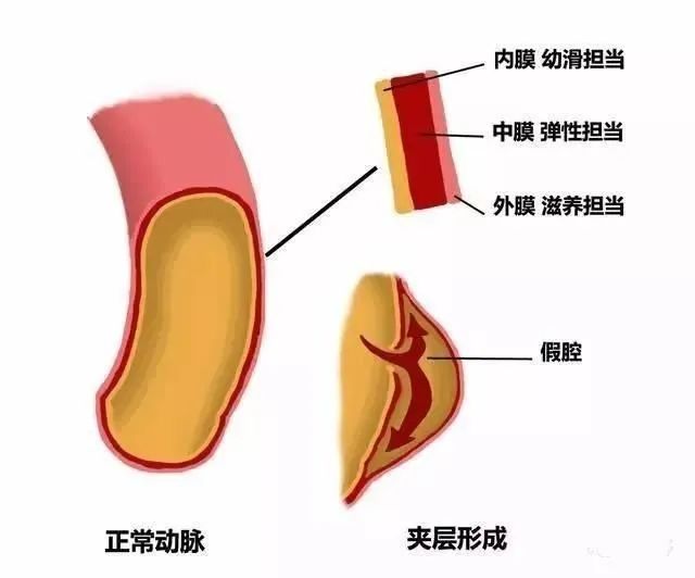 微信图片_20240105172917