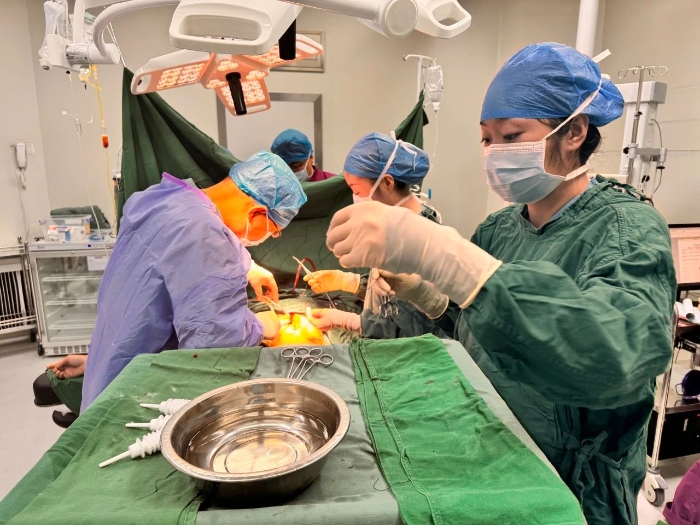 微信图片_20250205140106 微信图片_20250205140106