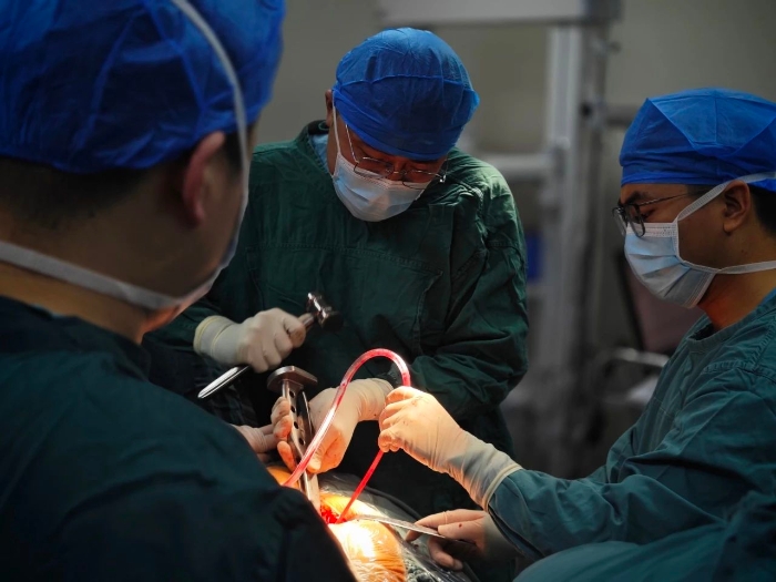 微信图片_20250205140500