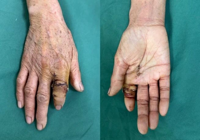 微信图片_20250205141754 微信图片_20250205141754