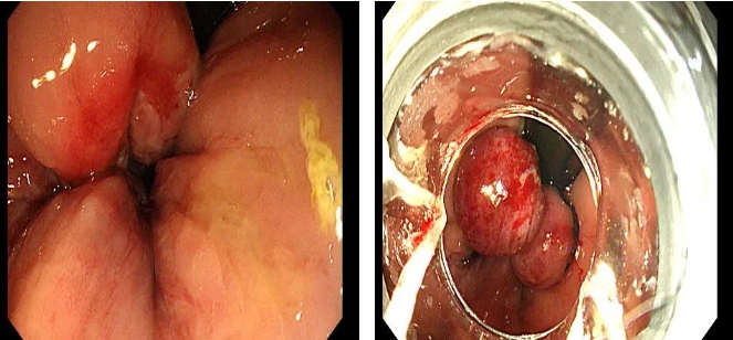 微信截图_20250208082119 微信截图_20250208082119