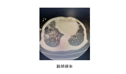 微信截图_20250212113723 微信截图_20250212113723