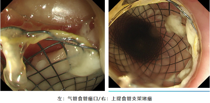 微信截图_20250212113738 微信截图_20250212113738