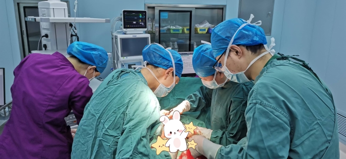 微信图片_20250213144649 微信图片_20250213144649