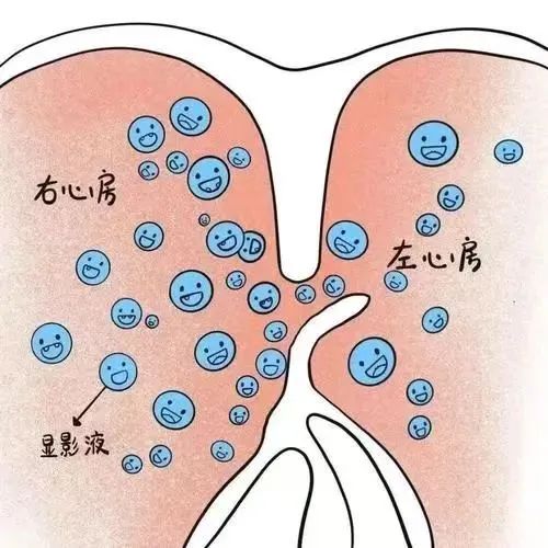 微信图片_20250224083601 微信图片_20250224083601