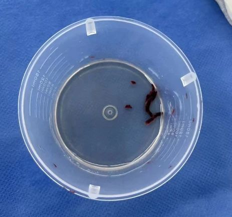 微信图片_20250224083916 微信图片_20250224083916