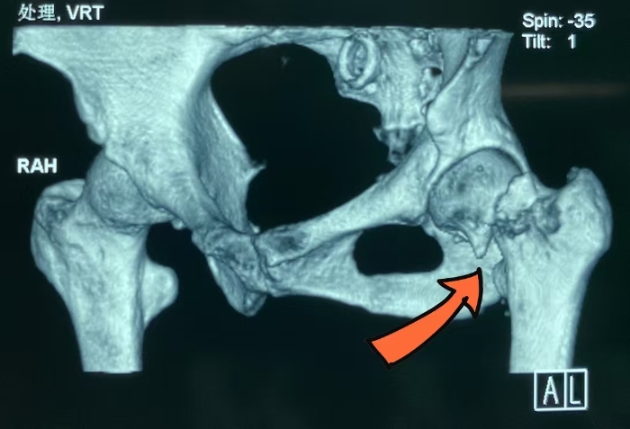 微信图片_20250310114641 微信图片_20250310114641