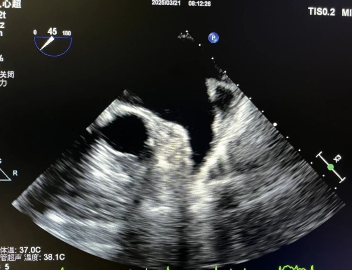 微信图片_20250331085618 微信图片_20250331085618