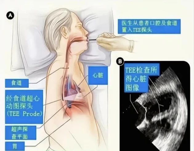 微信图片_20250331085622 微信图片_20250331085622