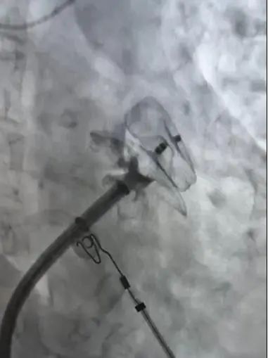 微信图片_20250414082739 微信图片_20250414082739