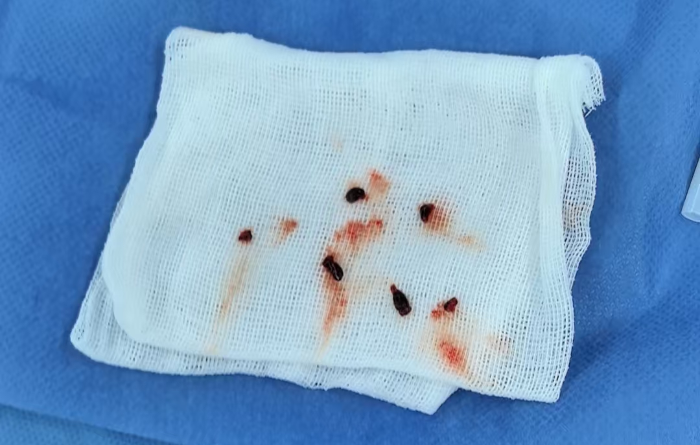 微信图片_2025-08-18_091751_642 微信图片_2025-08-18_091751_642