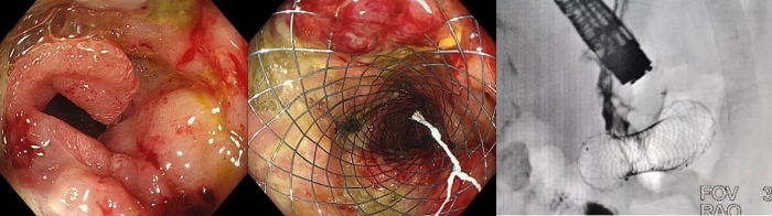 微信图片_20250912102512_149_471 微信图片_20250912102512_149_471