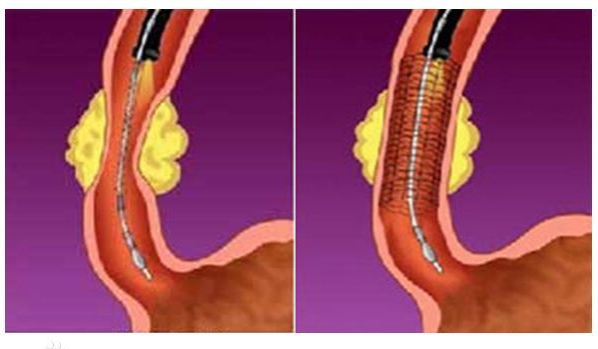 微信图片_20250912102511_148_471 微信图片_20250912102511_148_471