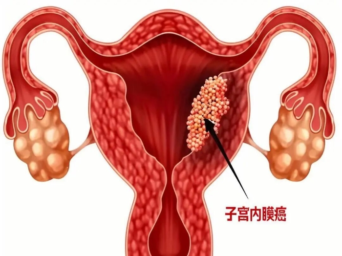 微信图片_2025-09-18_081228_971