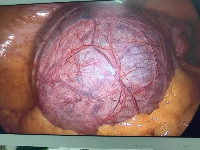 微信图片_20250924085719_5_1393 微信图片_20250924085719_5_1393