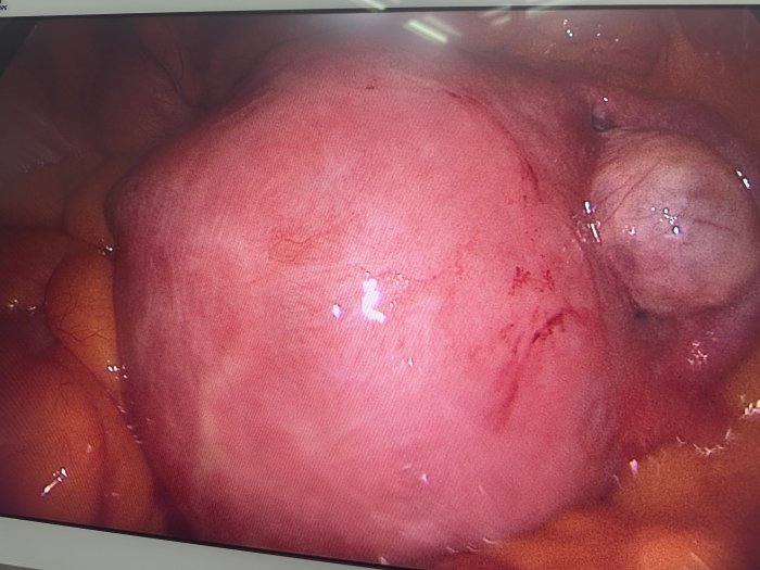 微信图片_20250926090618_4_592 微信图片_20250926090618_4_592