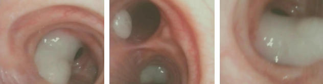 ScreenShot_2025-10-10_081322_942 ScreenShot_2025-10-10_081322_942