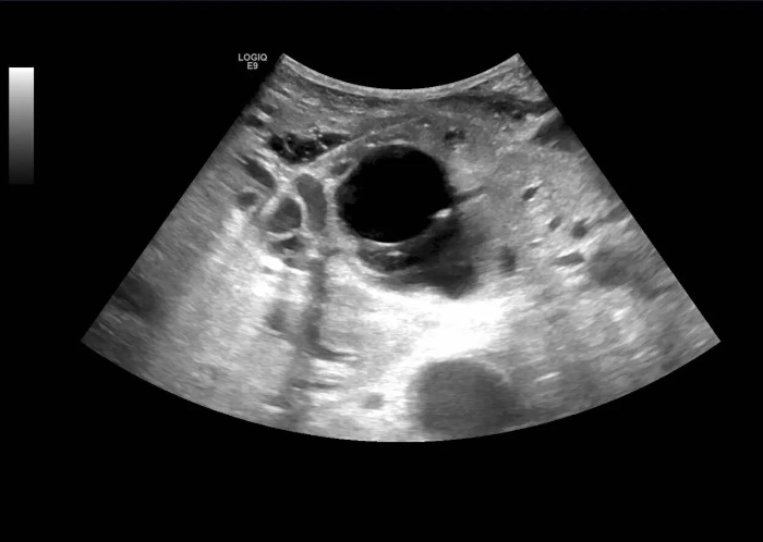 微信图片_2025-10-22_082029_207