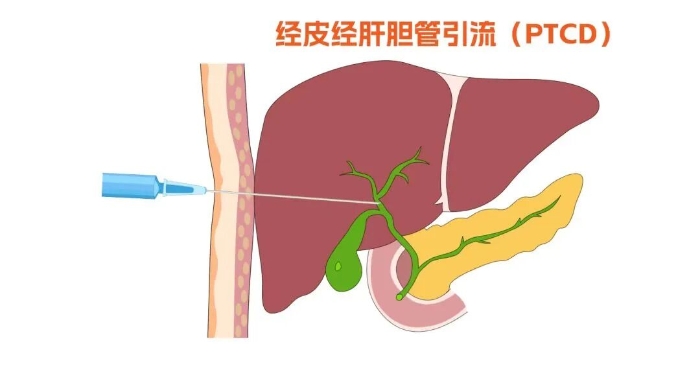 微信图片_2025-10-22_082032_915