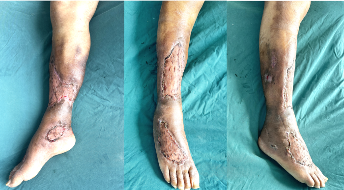 微信图片_20251021110028_149_191 微信图片_20251021110028_149_191