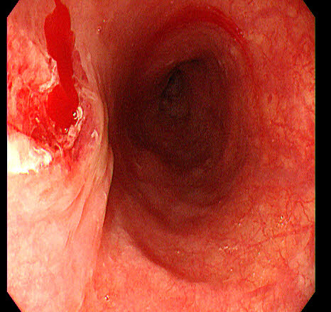 微信图片_20251027185552_207_471 微信图片_20251027185552_207_471