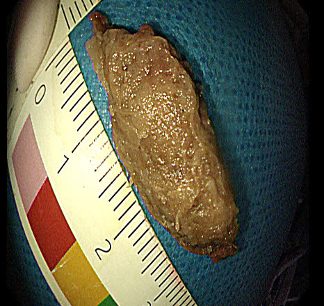 微信图片_20251027185551_205_471 微信图片_20251027185551_205_471