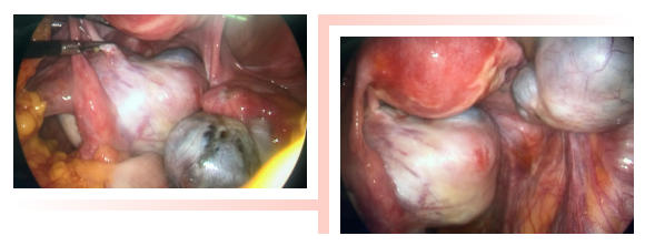 ScreenShot_2025-11-18_081044_685 ScreenShot_2025-11-18_081044_685