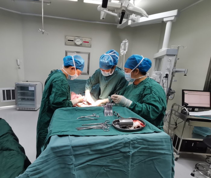 微信图片_20260128120016_55_1393 微信图片_20260128120016_55_1393