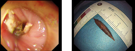 ScreenShot_2026-02-24_083008_434 ScreenShot_2026-02-24_083008_434