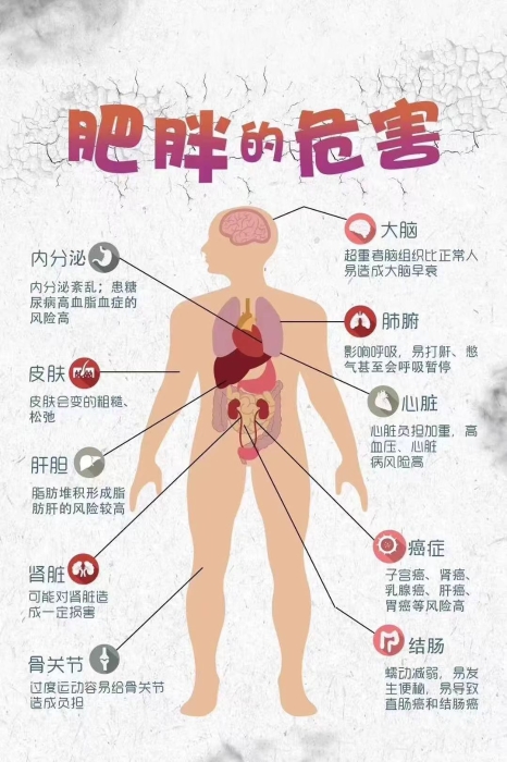 微信图片_20260224134920_2179_12 微信图片_20260224134920_2179_12