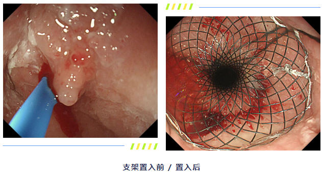 ScreenShot_2026-03-11_081358_211