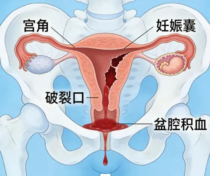 微信图片_2026-03-17_082610_308