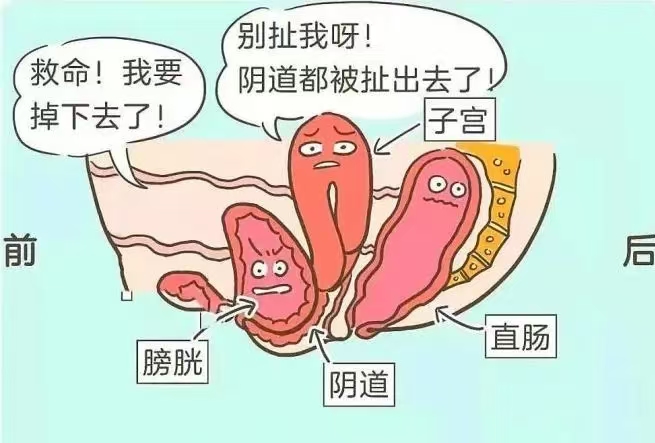 微信图片_20260322231855_33_801