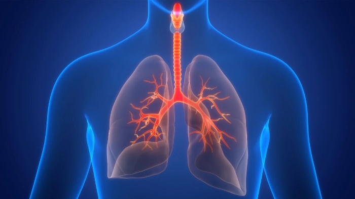 微信图片_2026-04-23_095009_078