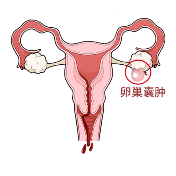 f981ee24c2434489cc82f22b810ee54f