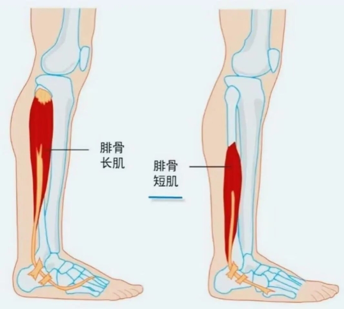 微信图片_2026-05-06_082544_441