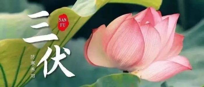 微信图片_2026-06-22_084051_073 微信图片_2026-06-22_084051_073