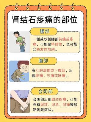 图片1 图片1