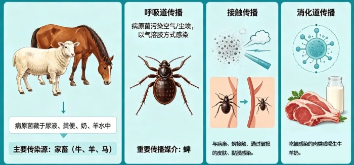 微信图片_2026-07-06_111144_874