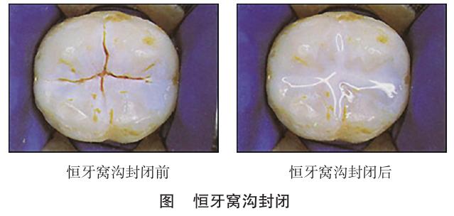 图片2 图片2