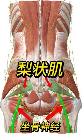 图片2 图片2
