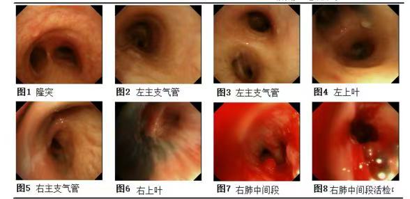 图片11 图片11